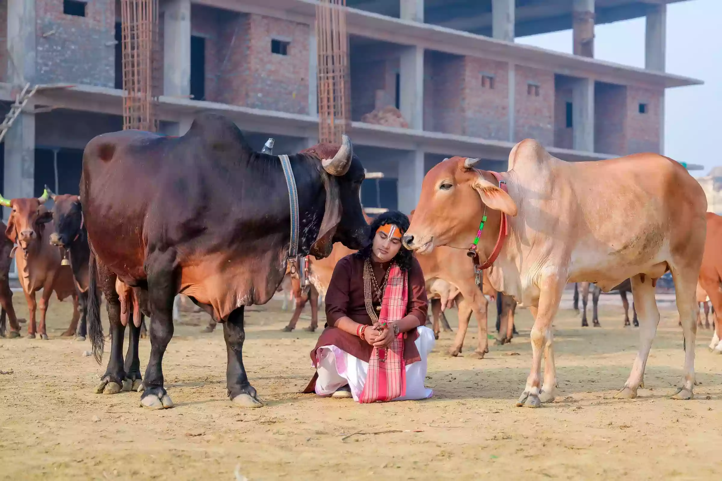 पूज्य श्री अनिरुद्धाचार्य जी महाराज